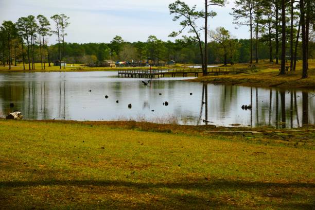 istock Sunrise at Paul B Johnson State Park Mississippi 2154791140