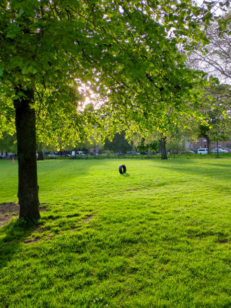 istock Tyre on a Green Lawn 2154794952