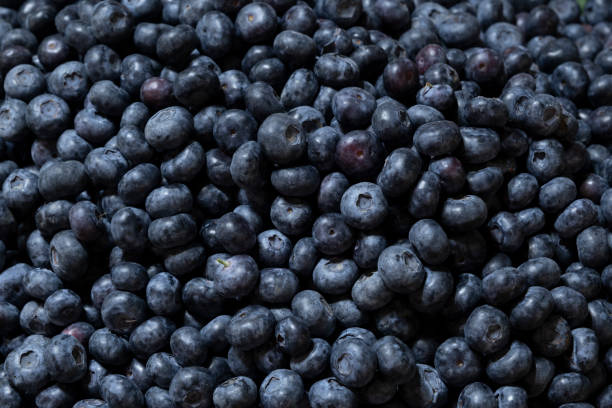 istock Fresh blueberries from the market 2154796886