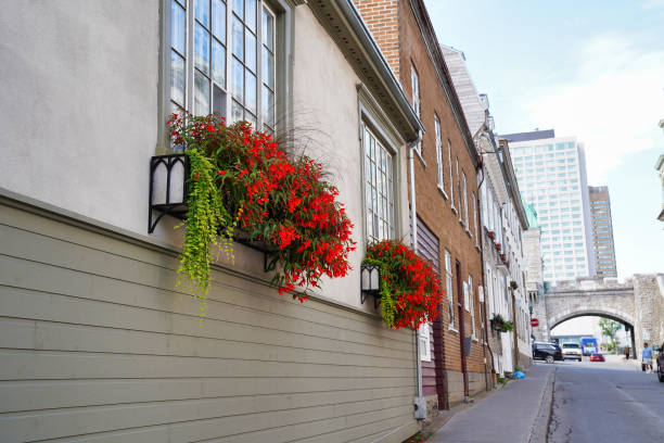 Red flowers hang from trellised windows with a view of the Kent Gate, part of Old Quebec fortifications in Quebec city, the capital of Quebec province,Canada