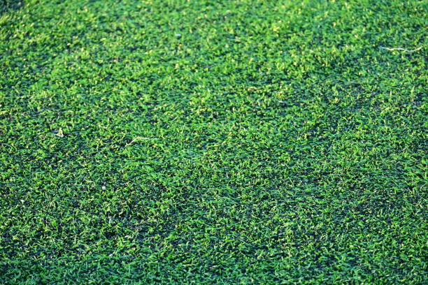 Golf course hole Close Up, No people.
