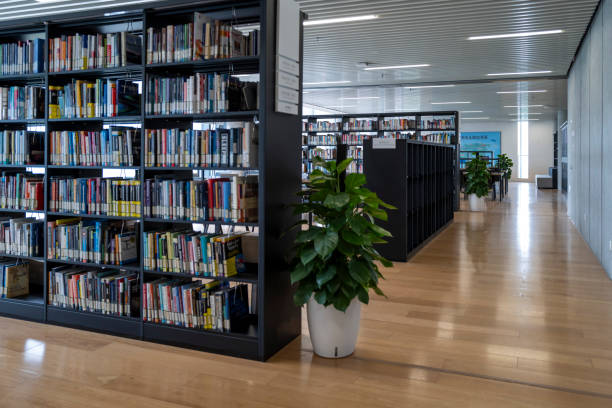 istock Rows of books on shelves in modern library 2154809096
