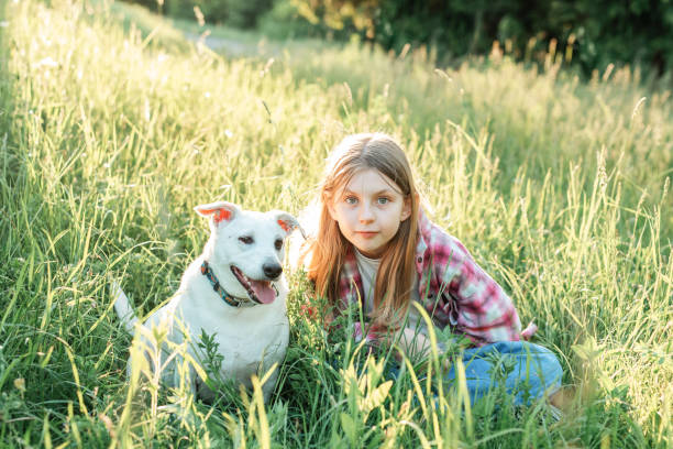 A child with a dog in nature, girl playing with a dog on green grass