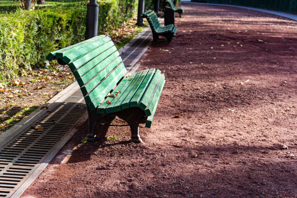 Famous Vake park in Tbilisi's downtown in autumnal season