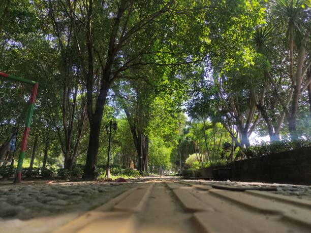 portrait of a path in a city park