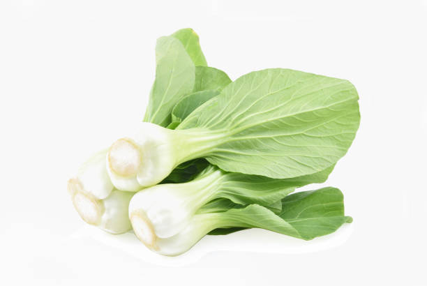 Bok choy vegetable isolated on the white background.