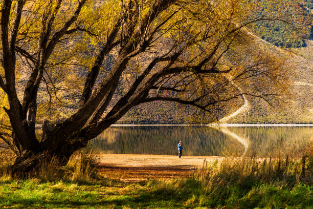 Autumn park in the morning with a man walking