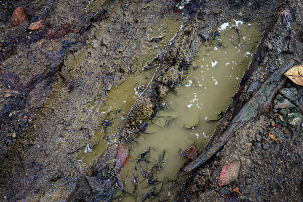istock Rainwater puddles on the ground, muddy ground surface 2154826415