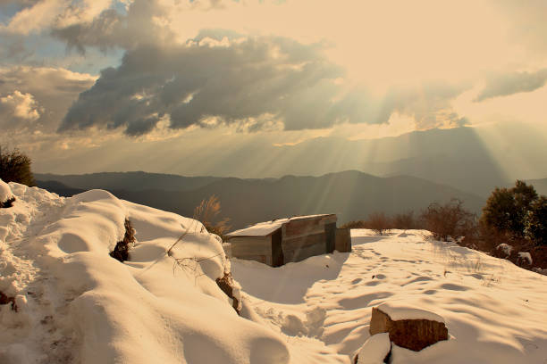 snow and mountains of himalaya