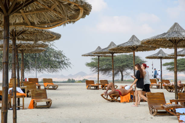 Sar Bani Yas, UAE - 5 January 2024: Tourists enjoy a tranquil day on the sandy shores of Sir Bani Yas, surrounded by natural parasols and loungers.