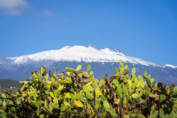 Etna, volcano of Sicily covered by snow - Italy