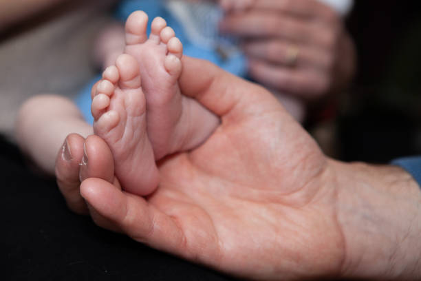 Soft detail, close-up photo of baby´s tiny fingers and feet being gently held in loving palm of their mother, dad´s hand.