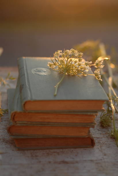 istock Stack of Antique Books with Delicate Blossoms, Cozy Nostalgia 2154839016