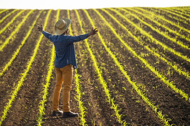 istock Farmer in the field 2154840668