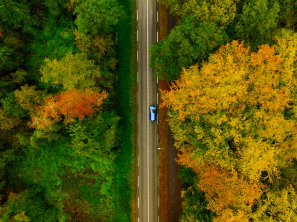istock Road through an autumn forest with colorful leaves seen from above 2154841010