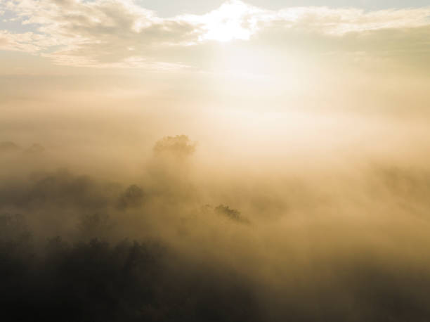 Forest covered in a blanket of mist seen from above during a fall morning near the river IJssel in Overijssel. The treetops are popping out over the thick fog with some of the trees starting to change color during the annual autumn season. The fog is giving the landscape a mystical atmosphere.