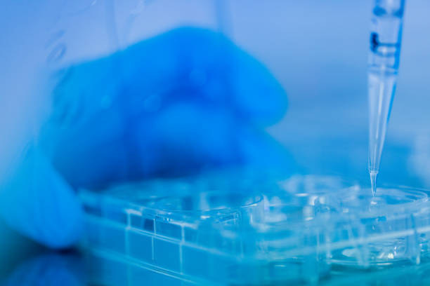 istock Production line pharmaceutical industry 2154846675