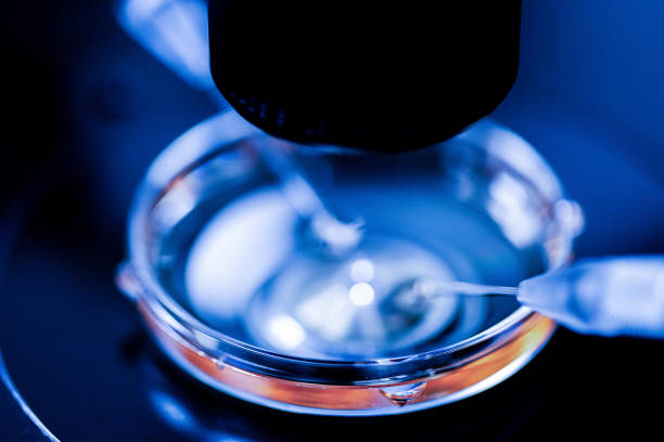 istock Production line pharmaceutical industry 2154846690