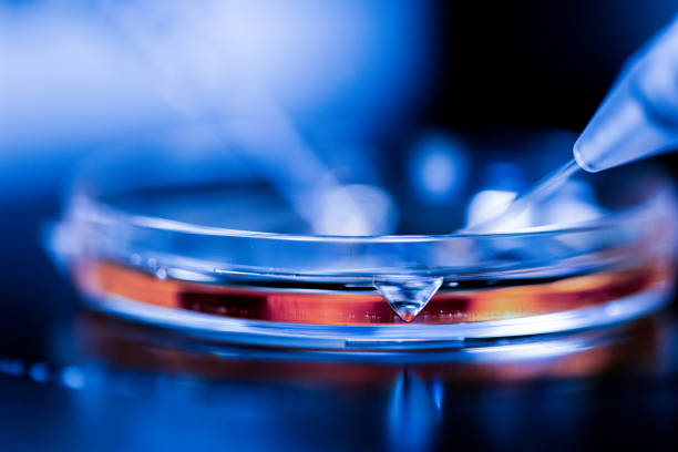 Production line pharmaceutical industry. Manufacturing of drugs and medications, pharmaceuticals. Technician, scientist works in a scientific laboratory