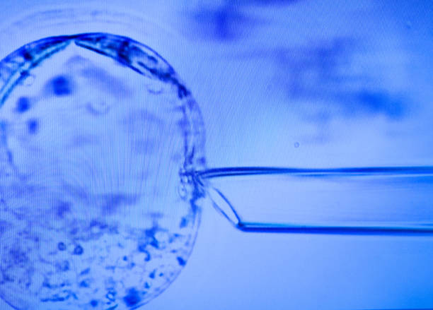 istock Production line pharmaceutical industry 2154846707