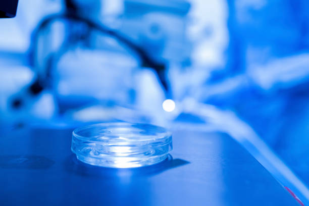 Production line pharmaceutical industry. Manufacturing of drugs and medications, pharmaceuticals. Technician, scientist works in a scientific laboratory