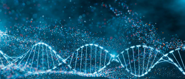 istock DNA double helix with sparkling nodes in a dynamic blue environment. Genomic sequencing, molecular biology, and genetic data analysis. 2154847625
