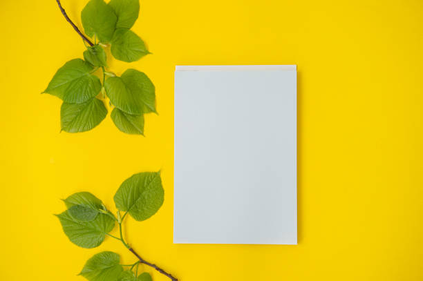 istock A blank sheet in a notebook, top view, a branch with leaves on a bright yellow table. Mockup 2154849306