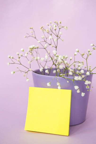istock Gypsophila branches in a purple flower pot. Blank notepad mockup 2154849330