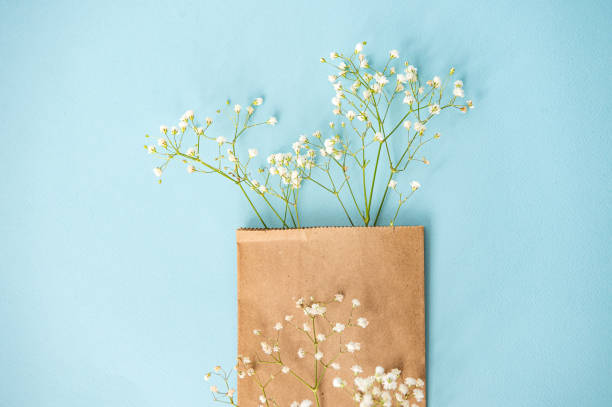 istock Creative flat desktop photo. Blue background with gypsophile on top with empty space for text 2154849347