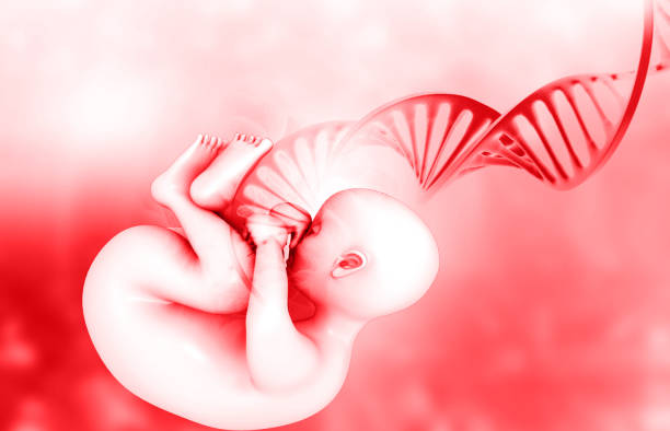 istock Human fetus with DNA strand 2154850826