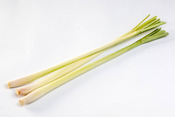 Lemongrass isolated on white background