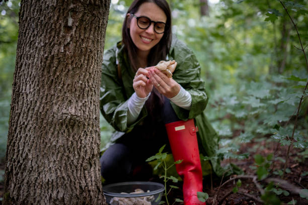 istock Rainy day and mushrooms 2154851594
