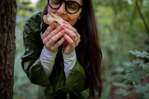 istock Rainy day and mushrooms 2154851659