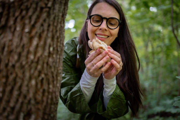 istock Rainy day and mushrooms 2154851698