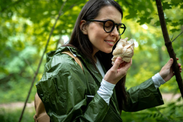 istock Time to check these mushrooms 2154852112