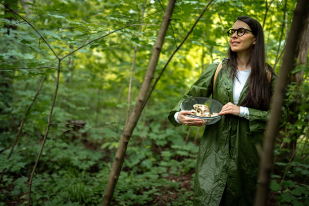 istock Hand full of harvested mushrooms 2154852410