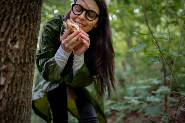 istock Rainy day and mushrooms 2154852593