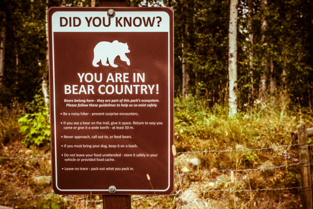 istock bear warning sign in a nature park in Canada 2154852633