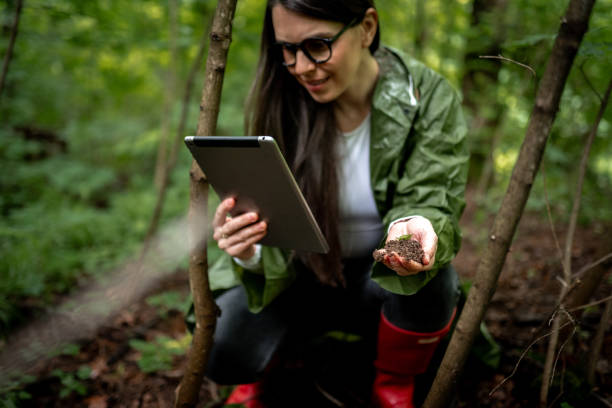 istock Looking for this mushroom in my tablet 2154852805