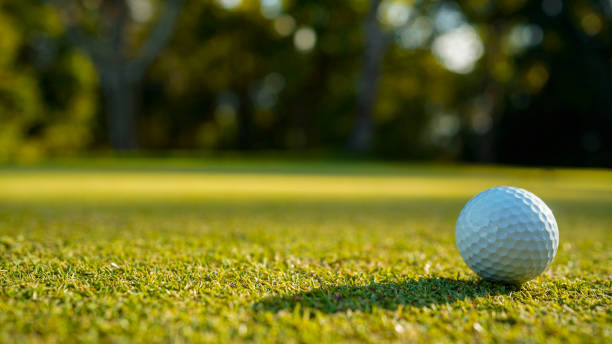 istock Golf ball on green grass in the evening golf course with sunshine background. 2154856033