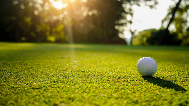 istock Golf ball on green grass in the evening golf course with sunshine background. 2154856039