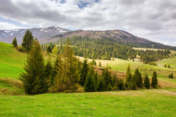 istock alpine countryside scenery with grassy meadows and forested rolling hills in spring 2154856041