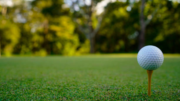 istock golf ball on tee in beautiful golf course with sunset. Golf ball close up in golf coures. 2154856070
