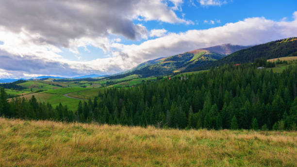 istock alpine countryside scenery with grassy meadows and forested rolling hills in autumn 2154856150