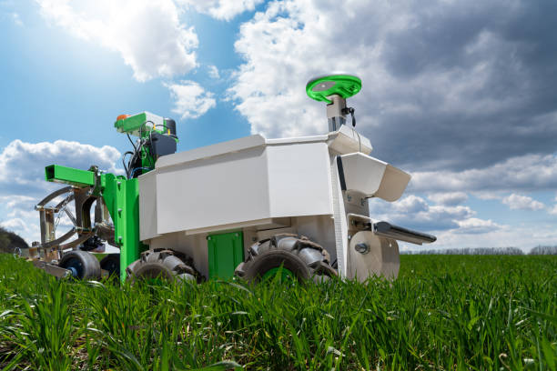 istock Autonomous wheeled robot is working in an agricultural field 2154856573