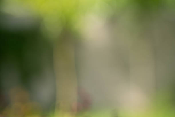 Abstract defocused background of green grass.