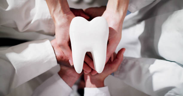 istock Group Of Dentists Holding Tooth 2154863721