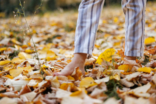 Close-up shot of female legs walking barefoot on fallen leaves in beautiful autumn park