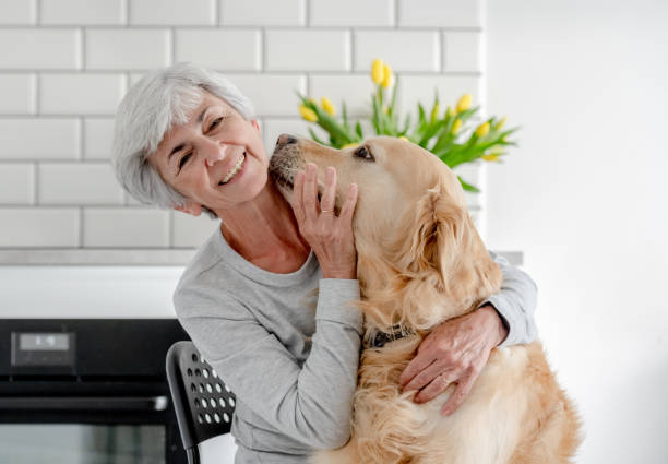 istock Grey-Haired Woman With Golden Retriever 2154868834