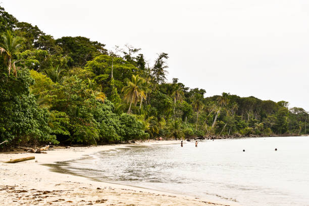 istock beach in thailand, photo as a background 2154869898